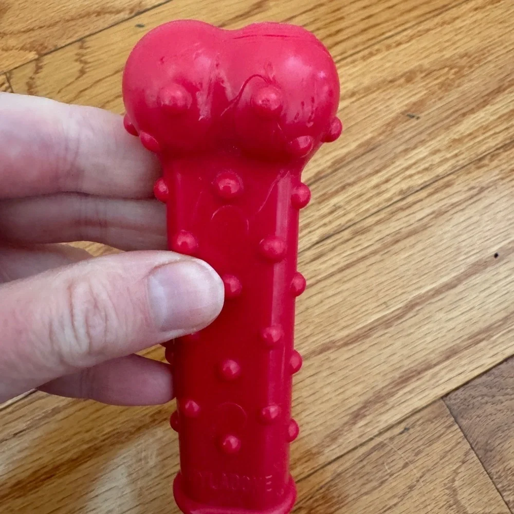Nylabone Red Small to Medium Size Dog Hard Chew Dog Toy